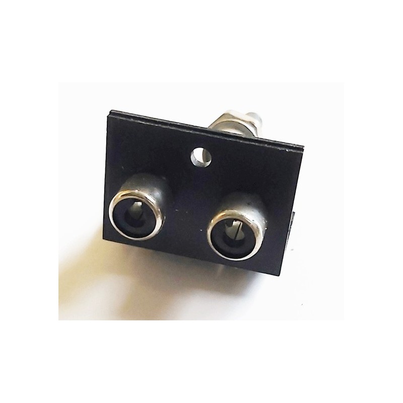 RCA femelle double chassis