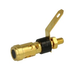 Bornier chassis doré à vis noir