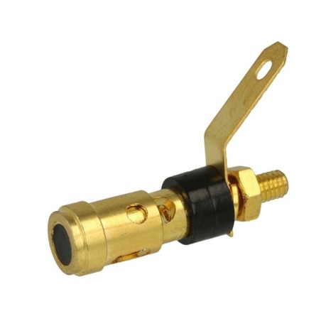 Bornier chassis doré à vis noir