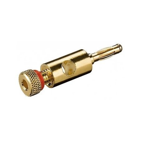 Fiche banane mâle doré a vis rouge