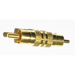 Adaptateur rca mâle / rca mâle doré