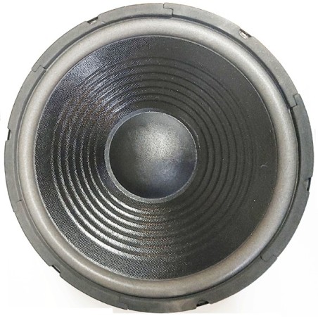 Boomer 31cm 250watts