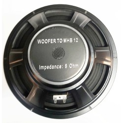 Boomer 31cm 250watts