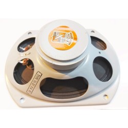 Haut parleur audax éliptique