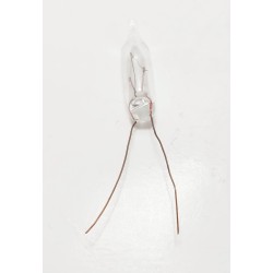 Luciol 12 volts 11x5mm